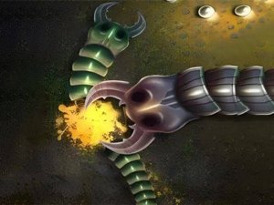 Serpent Stadium Stars