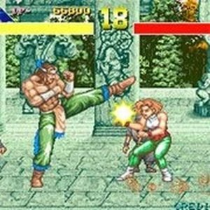 Power Instinct: Martial Arts Brawler