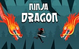Ninja Dragon - Wall Climb Arcade
