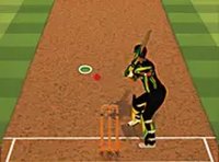 Cricket Batter Challenge Sports Game Arcade Game