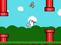 Crazy Goose Online Arcade Game