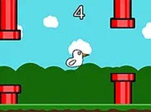 Crazy Goose Online Arcade Game