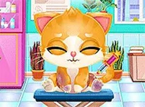 Doc HoneyBerry: Kitty Surgery - Pet Care & Dress Up Game
