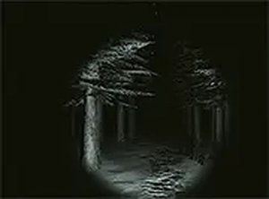 Hidden Trail: Investigation Puzzle