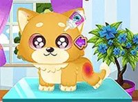 Funny Puppy Care Online Game - Pet Care Game
